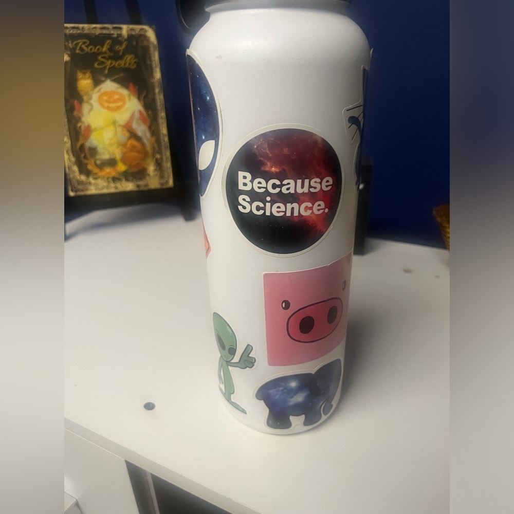 Thermoflask with stickers added.